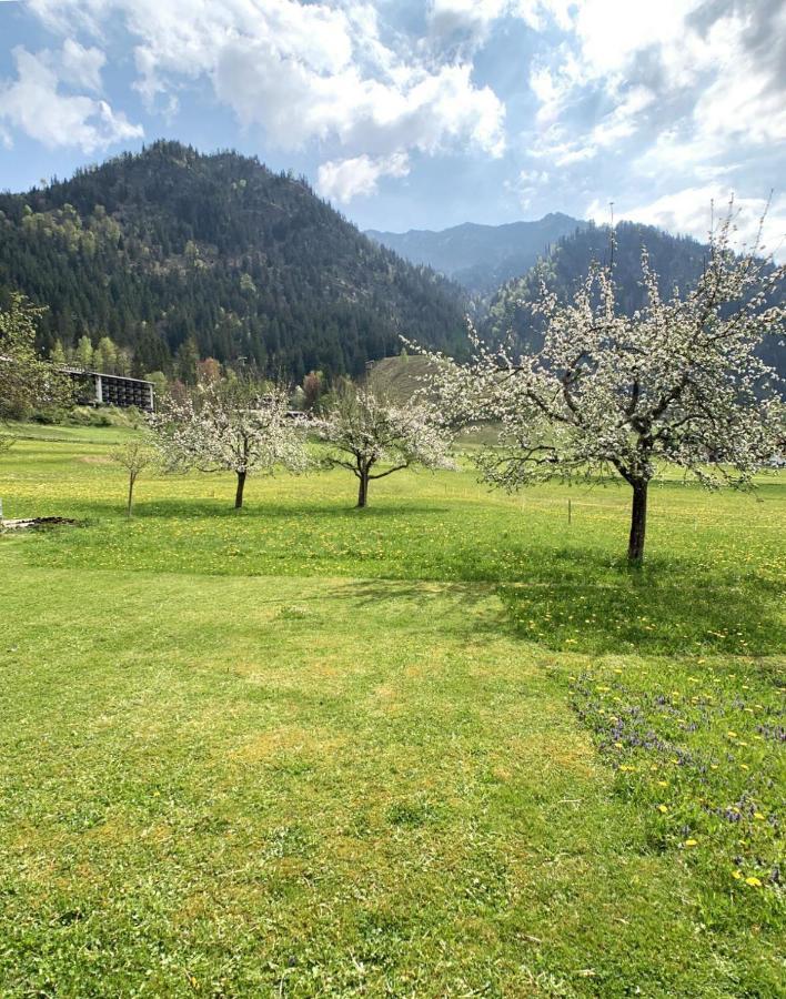 Appartamento Haus Claudia Lipp Bad Hindelang Esterno foto